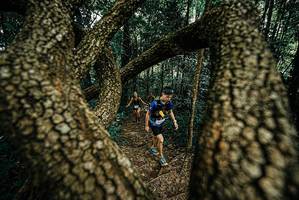 BIB: 
                            <button type="button" onclick="openModal(25668056)" class="btn btn-primary btn-sm float-right btn-popup" data-toggle="modal" data-target=".modal-high-quality">
                        <i class="fas fa-shopping-cart"></i> Add to Cart
                    </button>
                                            <button type="button" onclick="isThisMe(25668056, true)" class="btn btn-success btn-sm float-right btn-popup btn-isme hidden" data-toggle="tooltip" data-placement="bottom" title="นี่คือรูปของคุณใช่ไหม คลิกที่นี่เพื่อเอาเข้าอัลบั้ม">
                        <i class="fas fa-plus"></i> Add to album
                    </button>
                    <button type="button" onclick="isThisMe(25668056, false)" class="btn btn-warning btn-sm float-right btn-popup btn-isnotme hidden">
                        <i class="fas fa-ban"></i> Remove from album
                    </button>